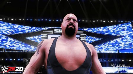 Игра WWE 2K20 (PS4) USED Б/У Playstation 4