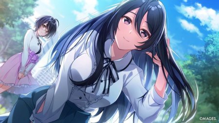 игра SINce Memories: Off The Starry Sky (Switch) для Nintendo Switch