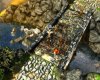 Grotesque Tactics. Настоящие негодяи Русская Версия Jewel (PC) 