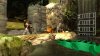 Купить игру LEGO Indiana Jones: The Original Adventures (PS3) USED Б/У для Sony Playstation 3