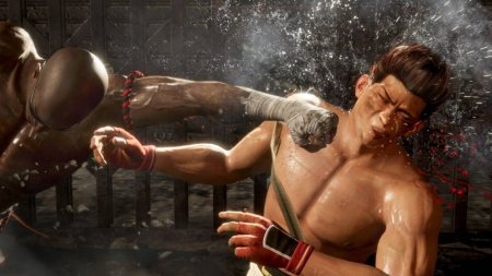 Игра Dead or Alive 6 (VI) (PS4) Playstation 4