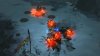 Diablo 3 (III) Русская Версия (Xbox 360)