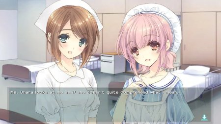 игра Nurse Love Obsession (Switch) для Nintendo Switch