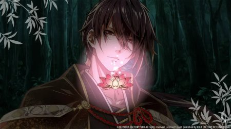 игра Birushana: Rising Flower of Genpei and Winds of Fate Dual Pack (Switch) для Nintendo Switch