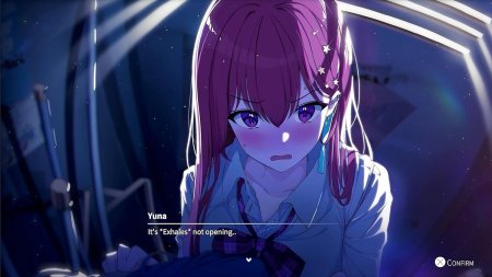 игра Eternights (Switch) для Nintendo Switch