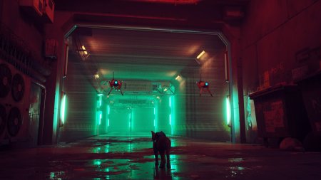 Stray Русская Версия (Xbox One/Series X) 