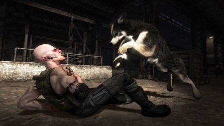 Dead to Rights: Retribution (Xbox 360/Xbox One) USED Б/У