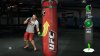 Купить игру UFC Personal Trainer: The Ultimate Fitness System для PlayStation Move + Ремешок на ногу (PS3) для Sony Playstation 3
