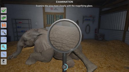 My Vet Practice in the Zoo Русская Версия (PS5)
