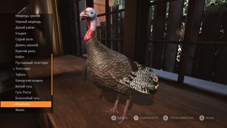 Игра Hunting Simulator (PS4) Playstation 4