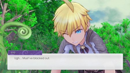 игра Rune Factory 5 (Switch) для Nintendo Switch