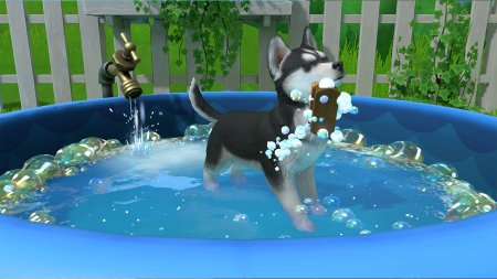 игра Little Friends: Puppy Island Русская Версия (Switch) для Nintendo Switch