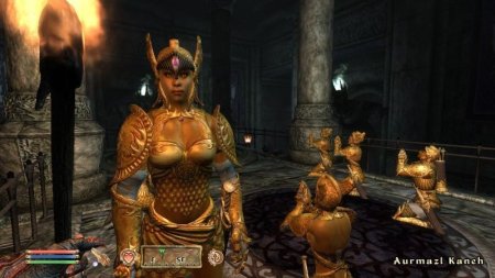 Купить игру The Elder Scrolls 4 (IV): Oblivion 5th Anniversary Edition (PS3) для Sony Playstation 3