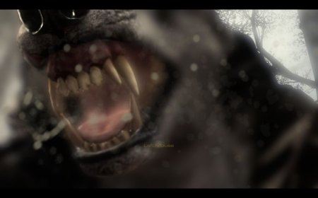 Игра Call of Duty: Ghosts (PS4) USED Б/У Playstation 4