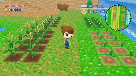 игра Harvest Moon: The Lost Valley and Skytree Village Коллекционное издание (Collector's Edition) (Switch) для Nintendo Switch