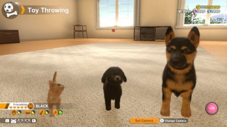игра Little Friends: Dogs and Cats (Switch) для Nintendo Switch