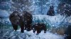 Planet Zoo: Console Edition (PS5)