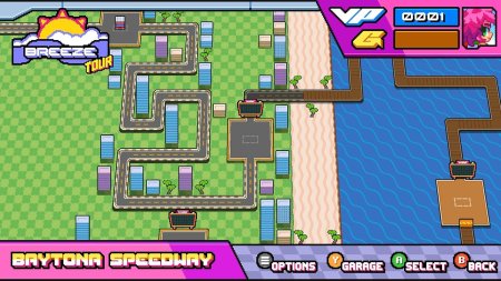 игра Victory Heat Rally Champion Edition (Switch) для Nintendo Switch
