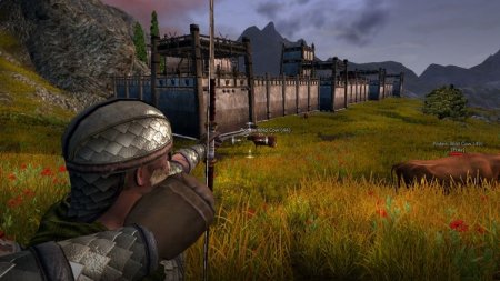 Age of Conan: Hyborian Adventures Русская Версия Jewel (PC) 