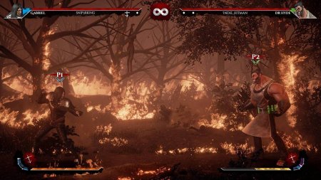 игра Omen Of Sorrow Ограниченное издание (Limited Edition) (Switch) для Nintendo Switch