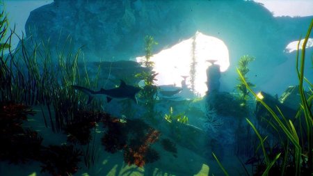 игра Maneater Русская Версия (Switch) для Nintendo Switch