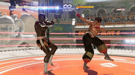 Игра Dead or Alive 6 (VI) (PS4) Playstation 4