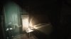 The Silent Swan Rising in the Mist Edition (PS5)
