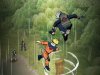 Naruto Ultimate Ninja (PS2) USED Б/У