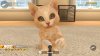игра Little Friends: Dogs and Cats (Switch) для Nintendo Switch