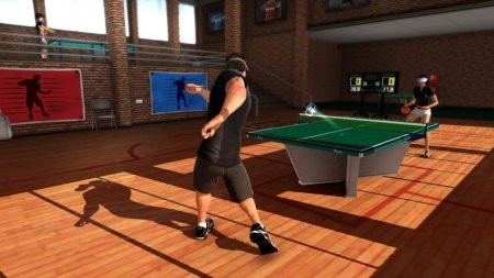 Купить игру Праздник Спорта (Sports Champions) для PlayStation Move (PS3) для Sony Playstation 3