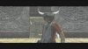 Купить игру ICO and Shadow of the Colossus Collection с поддержкой 3D (PS3) USED Б/У для Sony Playstation 3