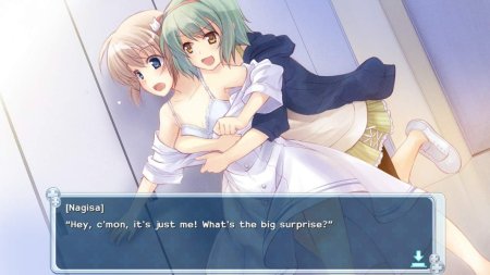 игра Nurse Love Obsession (Switch) для Nintendo Switch