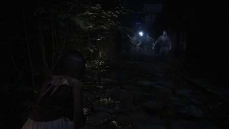 Fatal Frame II (2) Crimson Butterfly Remake (PS5)