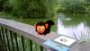  EyePet Приключения (Требуется камера GoCam) Русская Версия (PSP) 