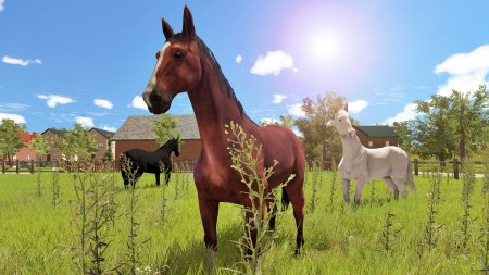 Игра My Little Riding Champion (PS4) Playstation 4
