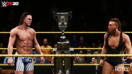 Игра WWE 2K20 (PS4) USED Б/У Playstation 4