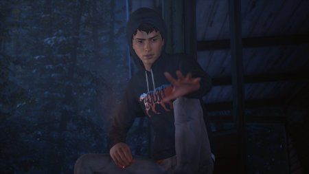 Игра Life is Strange 2 Русская Версия (PS4) Playstation 4