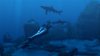 Купить игру Tomb Raider: Underworld (PS3) для Sony Playstation 3