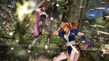 Игра Dead or Alive 6 (VI) (PS4) Playstation 4