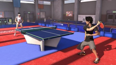 Купить игру Праздник Спорта (Sports Champions) для PlayStation Move (PS3) для Sony Playstation 3