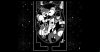 игра In Stars and Time (Limited Run) (Switch) для Nintendo Switch