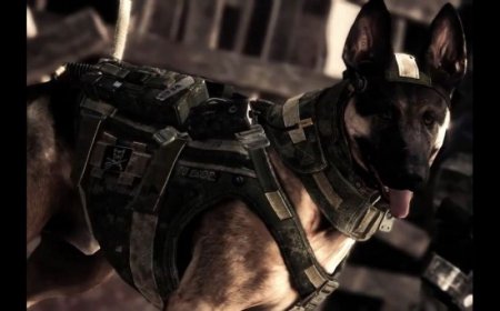 Игра Call of Duty: Ghosts (PS4) USED Б/У Playstation 4