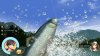 игра Reel Fishing: Days of Summer (Switch) для Nintendo Switch