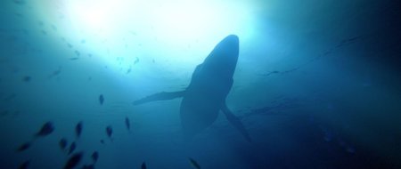 Under The Waves (В Глубинах Океана) Русская Версия (PS5)