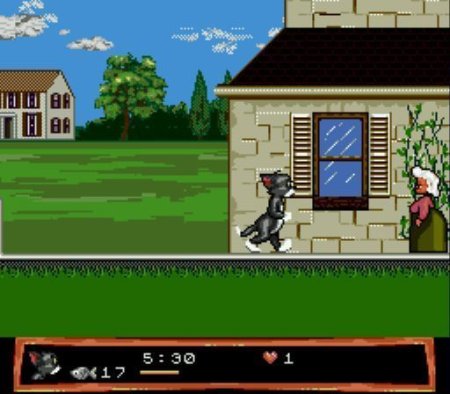 Том и Джерри (Tom and Jerry) Русская Версия (16 bit) 