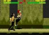 Mortal Kombat 2 (Мортал Комбат 2) Upgrade Русская Версия (16 bit) 