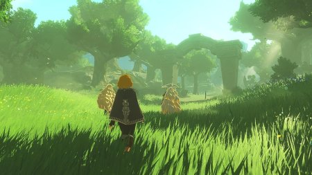 Hyrule Warriors: Age Of Imprisonment (Switch 2)