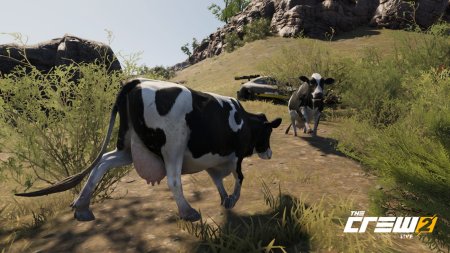 The Crew 2 Русская Версия (Xbox One) 