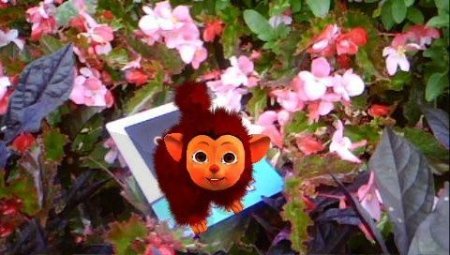  EyePet Приключения (Требуется камера GoCam) Русская Версия (PSP) 