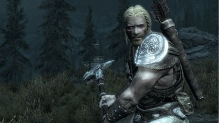 Купить игру The Elder Scrolls 5 (V): Skyrim (PS3) для Sony Playstation 3